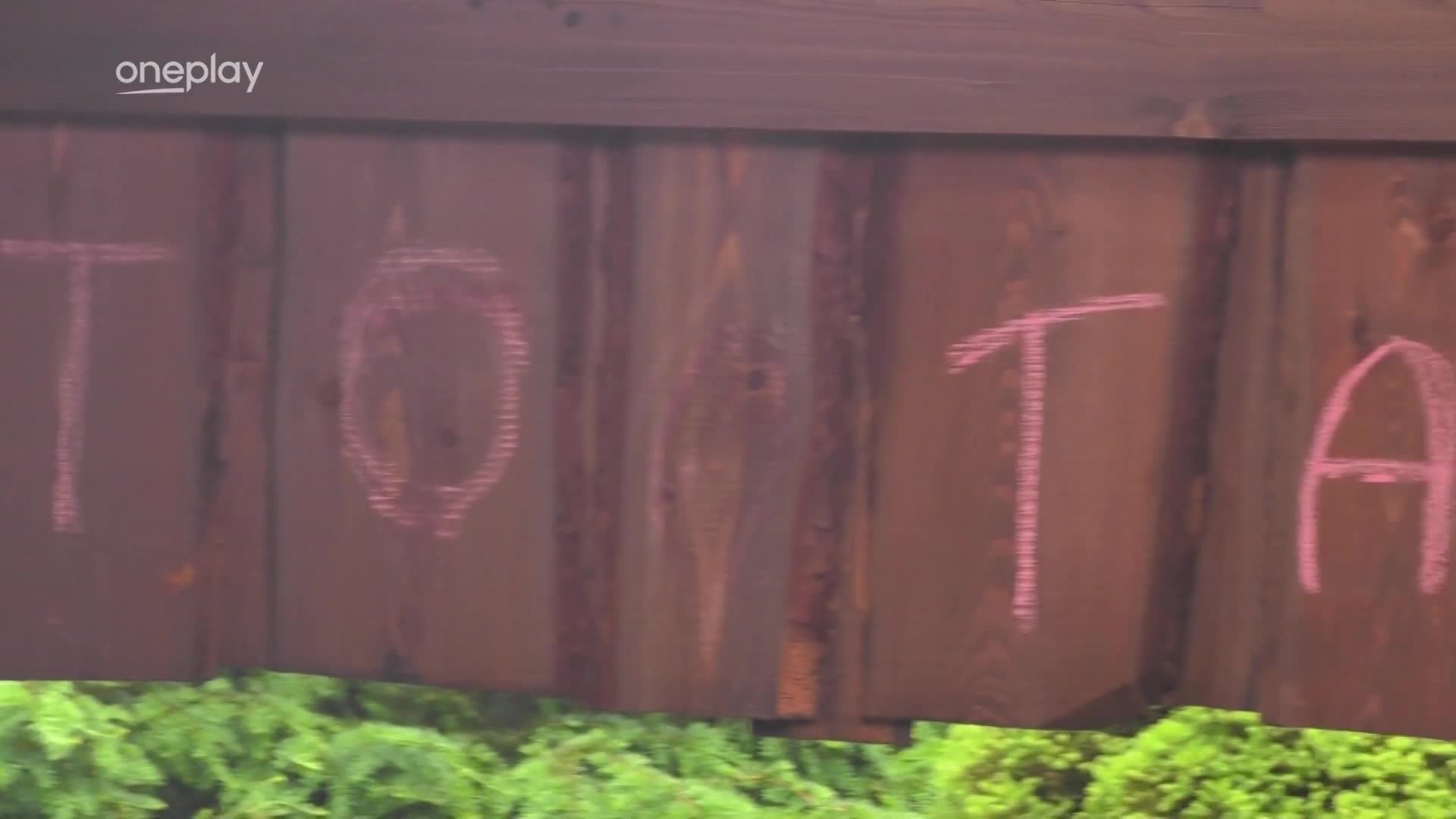 Zdeněk si na Farmě zahrál na Picassa. Na zeď napsal své ikonické hlášky