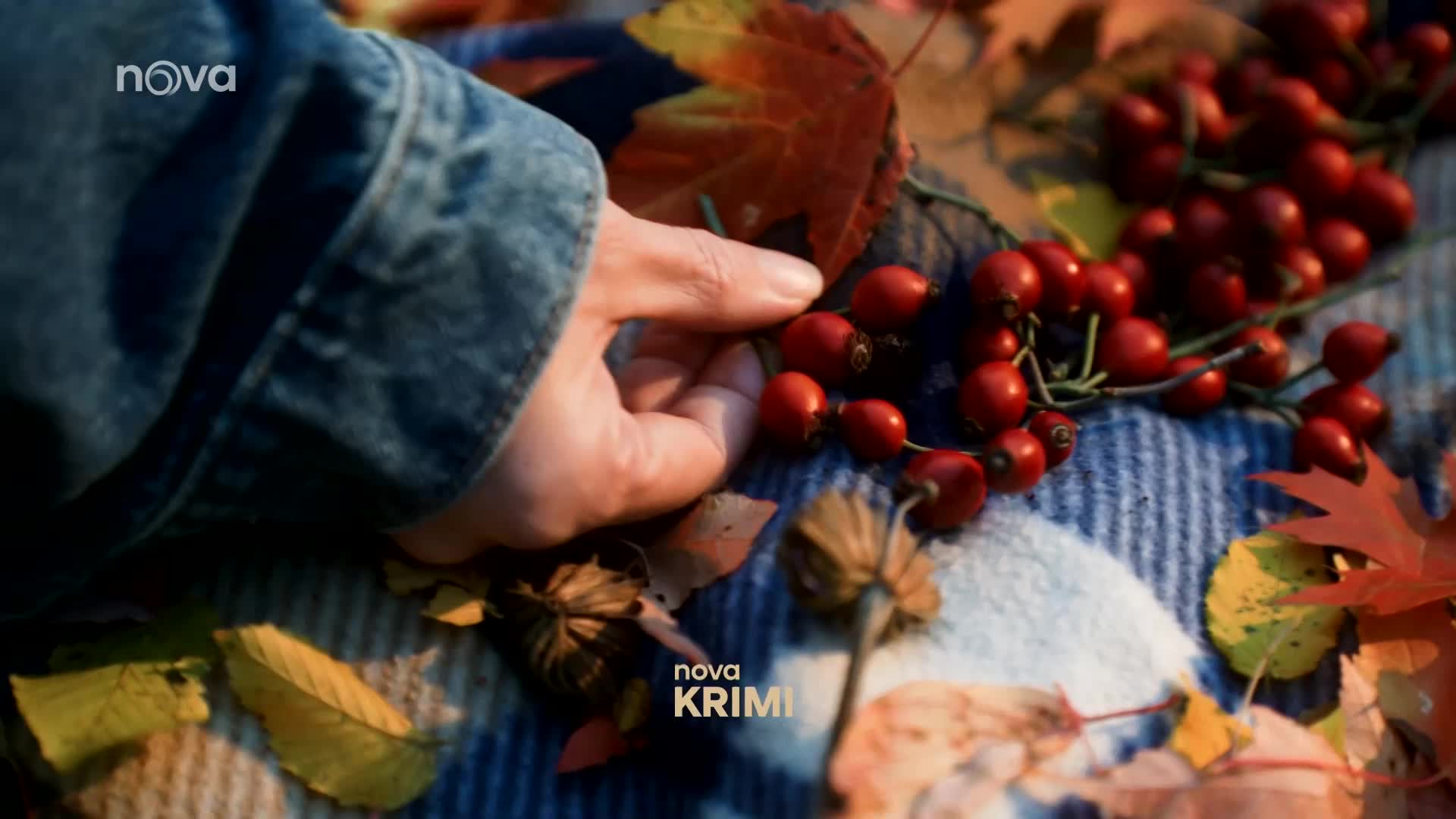 Z Nova Gold je od dnešního dne Nova Krimi. Místo, kde vše do sebe zapadá