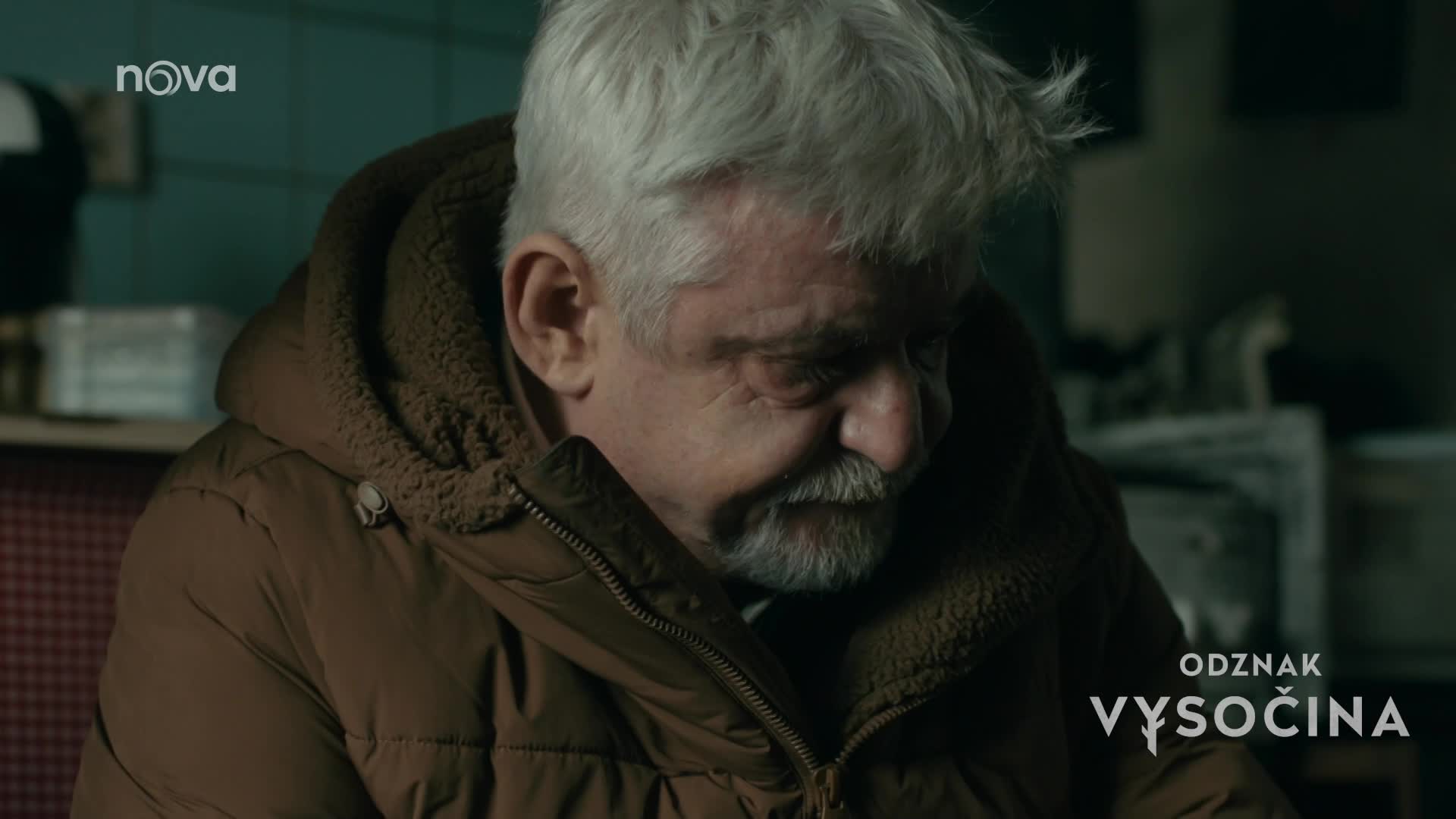 Odznak Vysočina očima komisařky: Proč musí k požáru i psovod