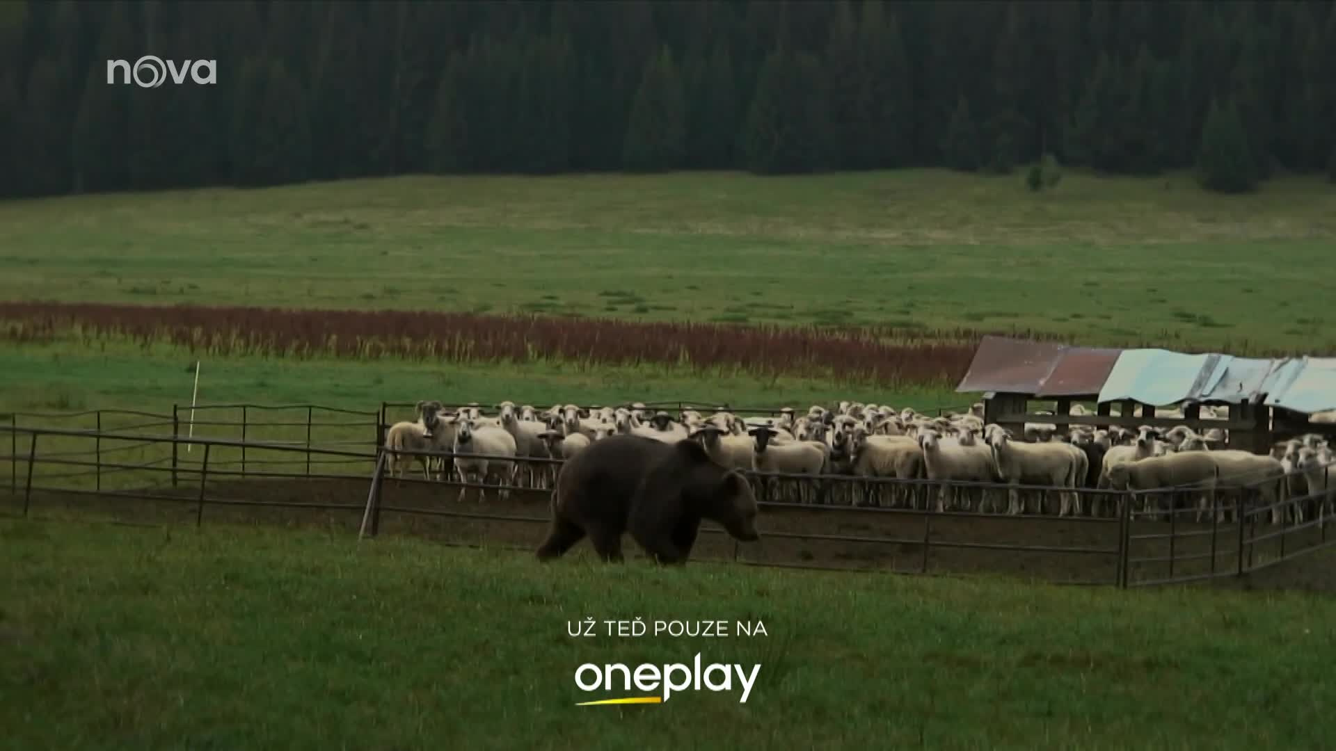 KVIFF rozšiřuje program o seriály. Partnerem je Oneplay