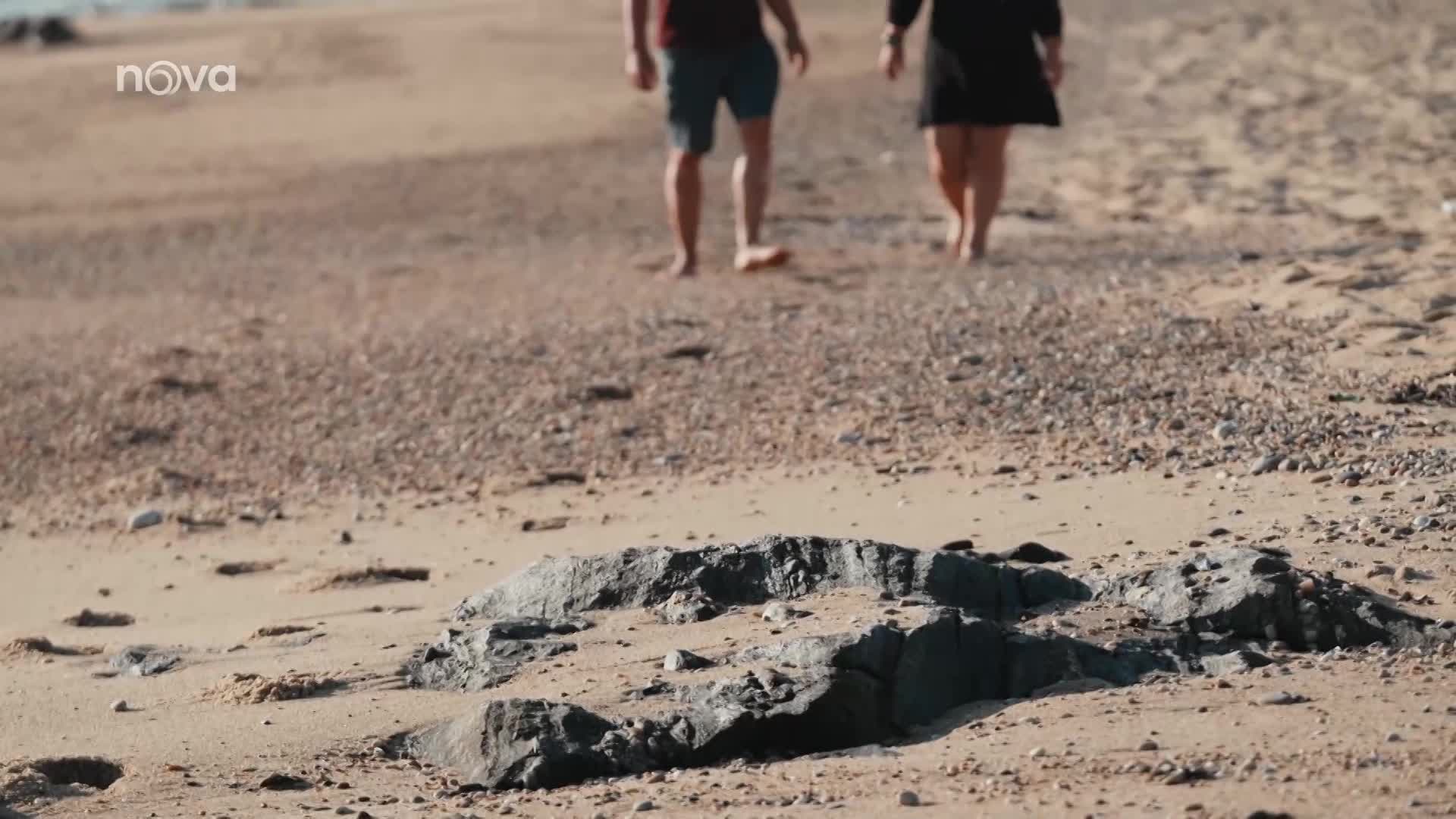 Překrásný moment z Proměn: Šárka dostala nový snubák