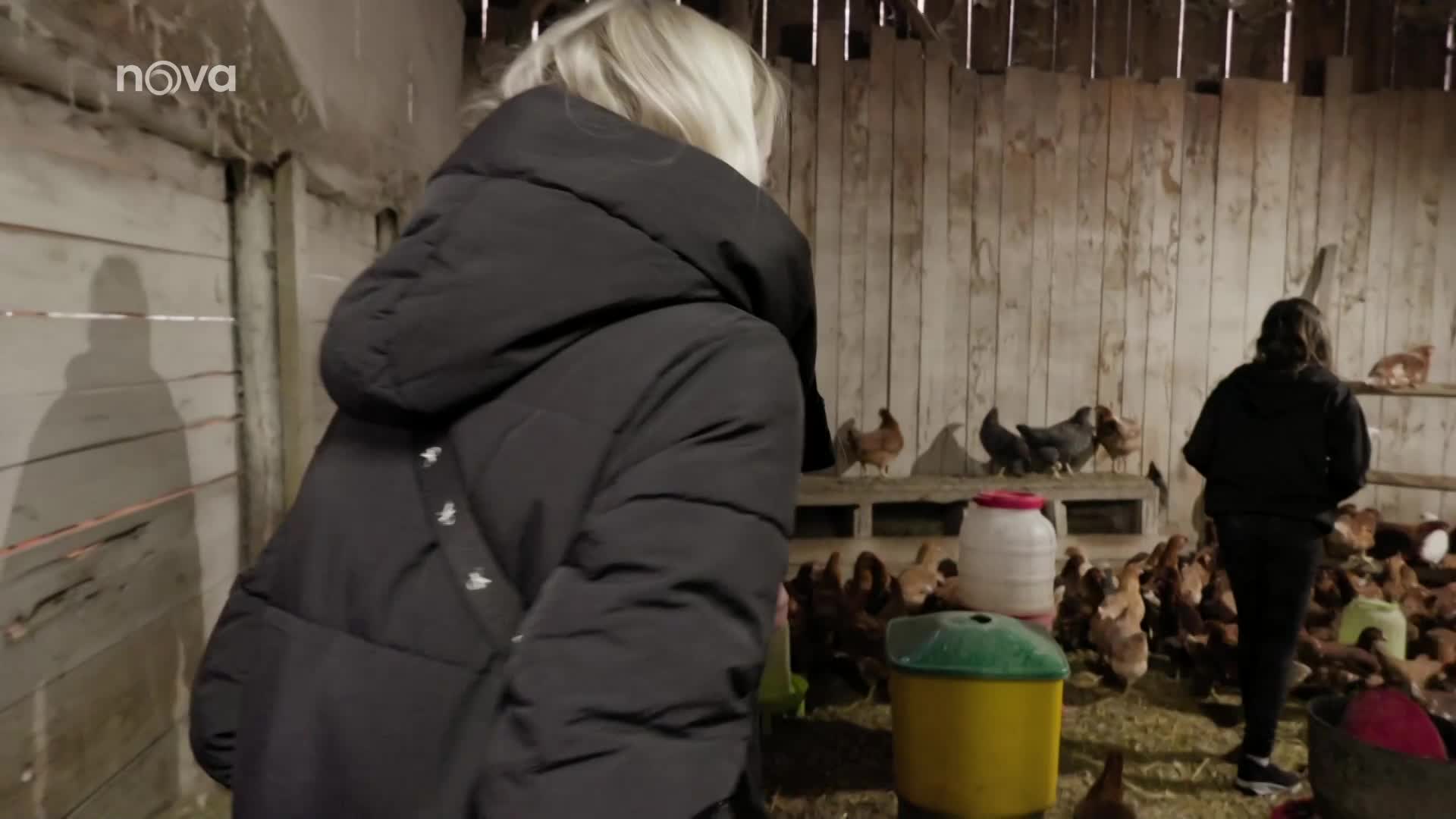 Lucka ve Výměně strachy bez sebe: Musela sahat na slepice