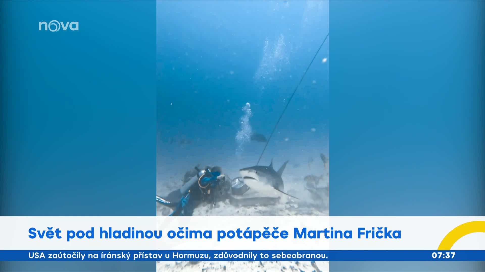 Co dělat, když potkáte žraloka? Potápěč zaškolil moderátory Snídaně