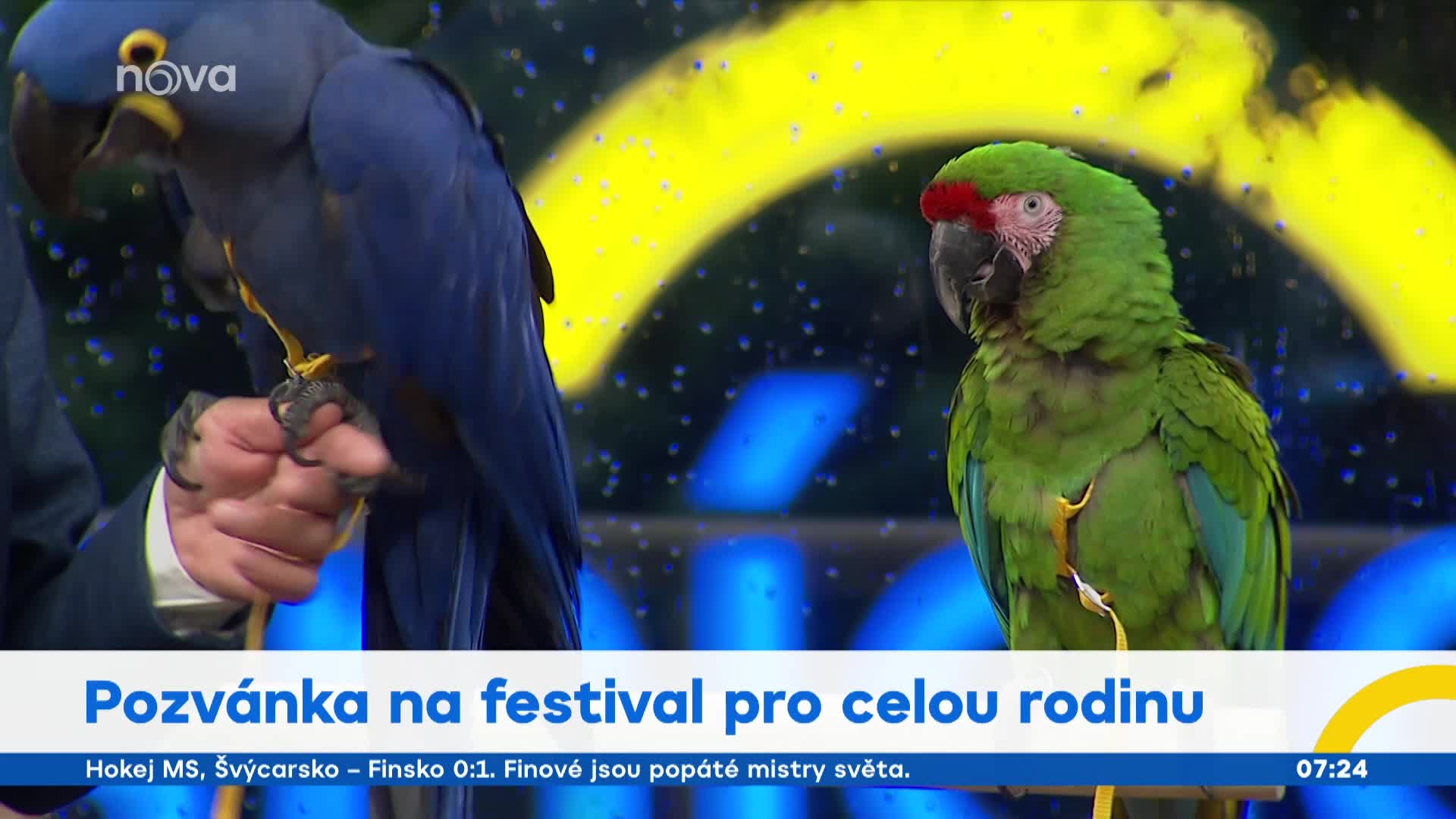 Papoušci ovládli Snídani s Novou. Ondřej Havel nevěřil svým uším